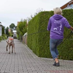 Marion Eckstein Hundetraining Landsberg Alltagstraining Angsthunde Special Events Lustig Mantrailing Mantrailer